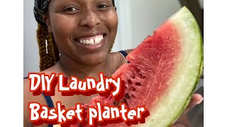Easy Dollar Tree Laundry Basket Planters!!😍🍉🤞🏾