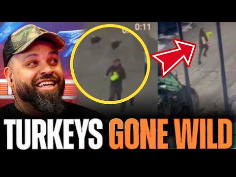 Wild Turkeys Chase UPS Driver While Delivering Packages!