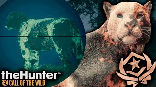 SHOTGUN VS GREAT ONE JAGUAR! Hunting Our 5th GREAT ONE Jaguar - The Fabled TAPESTRY!