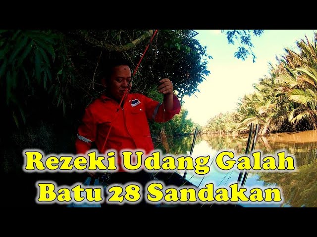 Memancing Udang Galah dan Baung Di Lubuk Blackbass.. class=