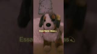 Essa name ideas! #fypシ゚  #viralshort #essadog #nameideas screenshot 5