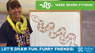 Let's Draw Fun, Furry Animals: Python