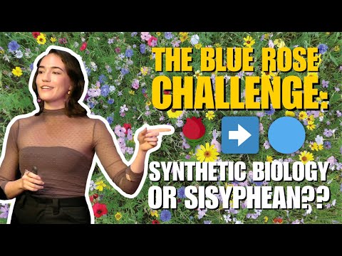 The Blue Rose Challenge (Dr. Casey Lardner, PhD)