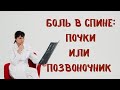 Боль в спине: почки или позвоночник? Отличия