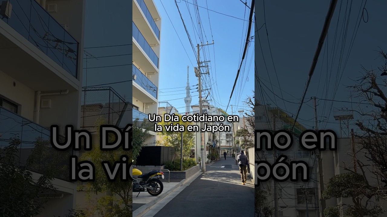 ¿Cómo es VIVIR en Japón? 🇯🇵 #japones #vlog #tokyo