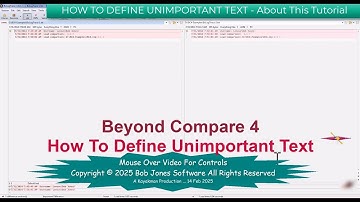 Beyond Compare 4   05   How To Define Unimportant Text