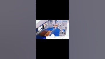 Food automation robot packaging production line # Bread packaging # Belt conveyor  # Food packaging