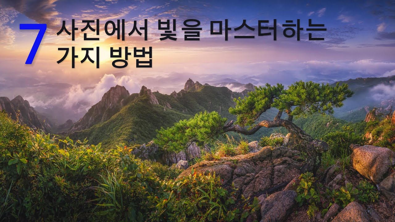 사진에서 빛을 마스터하는 7가지 방법