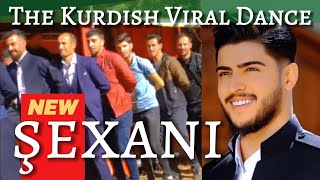 Bringing SEXANI back! The Hotstepper moves of a Kurdish Dance Version.