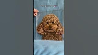 This glass painting has a sturdy 7-layer acrylic board and vibrant colors✨#glasspainting #paintings