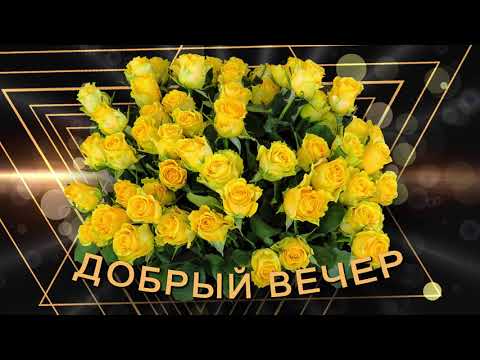 ✨Добрый вечер✨