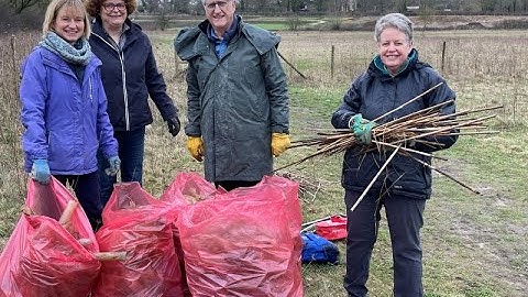 WEG  Frost Folly tree guard removal