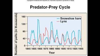 Populations Day 4 Predator Prey part 2