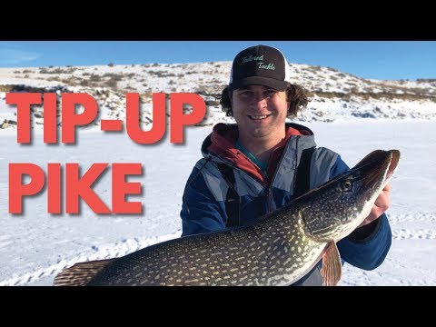 Ice Fishing for PIKE - How to Catch Northern Pike on Tip Ups - Tailored Tackle  Ice Fishing Episode 3 