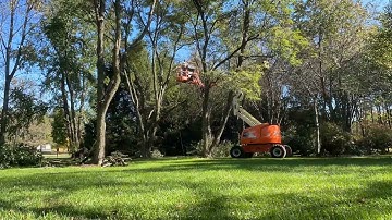 Tree Pruning with a 45-foot Boom Lift (Time-Lapse)