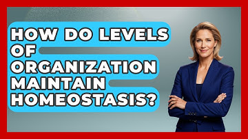 How Do Levels Of Organization Maintain Homeostasis? - All About Anatomy Answers