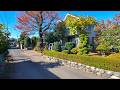 SAITAMA Iriso Walk - Japan 4K HDR