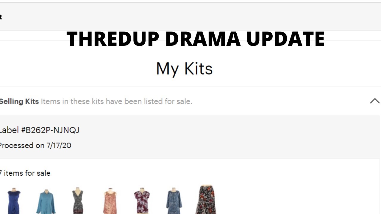 THREDUP DRAMA UPDATE CHECK YOUR SALES