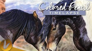 Realistic Wild Horses Colored Pencil Drawing | Timelapse