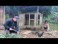 Help the poor girl complete the chicken coop, grow vegetables and build a new life