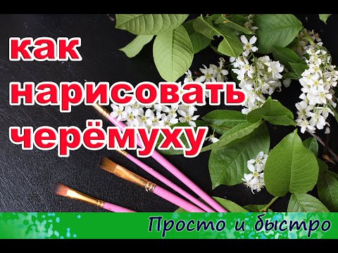 Video: How To Draw A Bird Cherry