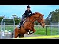 SHOWJUMPING EQUESTRIAN COMPILATION | Ride With Me #1 (Eventer Vlog)