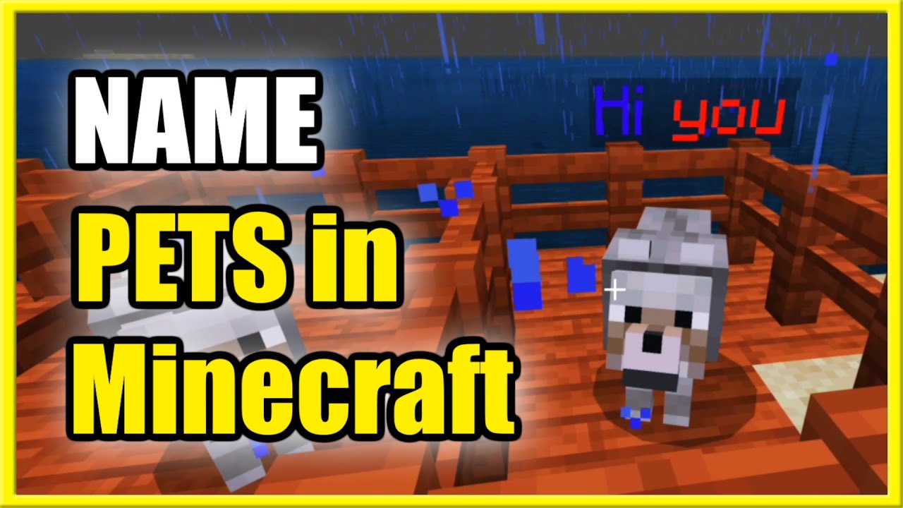 How to name your PETS in Minecraft (Dogs, Horse, Pigs, Cat) - YouTube