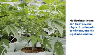 Who qualifies for a medical marijuana card in Louisiana +L5V