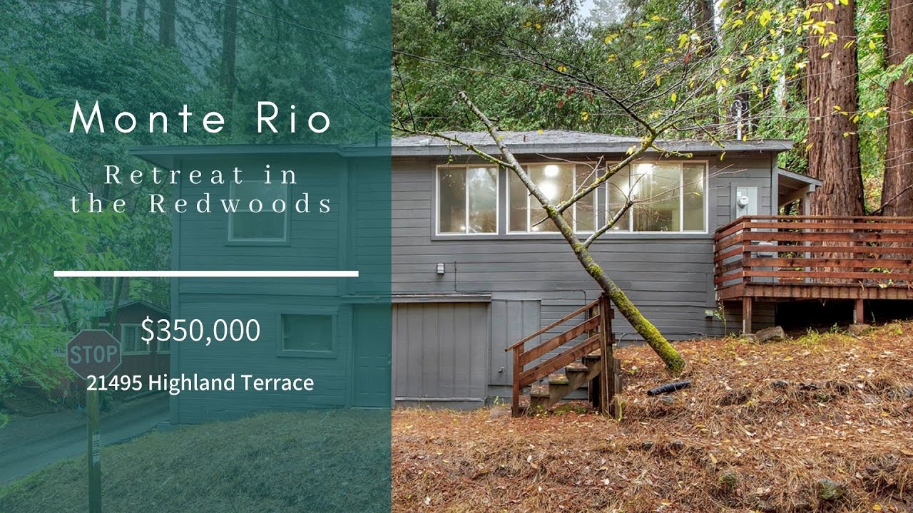 Monte Rio Retreat in the Redwoods