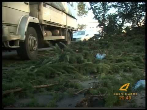 ძლიერი ქარი რუსთავში 14. 11. 2015