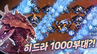 이번엔 히드라 1000부대 막기?!?! 가슴이 운장해진다. . .