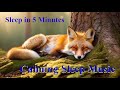 Fall Asleep Fast – Relaxing Sleep Music for Deep Rest and Recovery