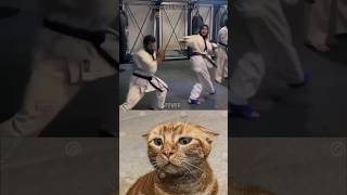 Bro Believe In Equality... Troll Cat