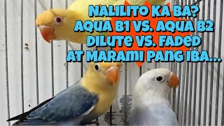 Nalilito Sa Pagkakaiba Ng Mga Mutation? Tara Pakita Ko Sa Inyo Pagkakaiba Nila