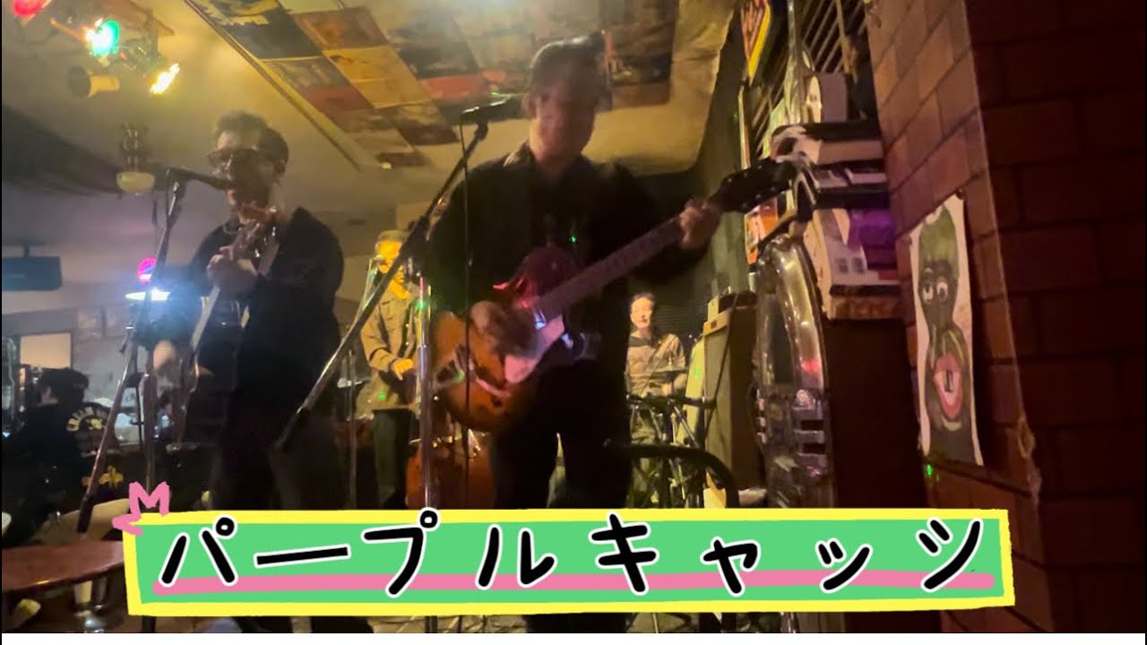 PURPLE CAT'S カウントダウン Live 🐈‍⬛BLACK CAT'Sコピーバンド