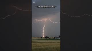 Spider-Web Lightning Storm 🕷️ | Nature's Electric Art⚡#nature #thunderstorm #soulofnature #shorts