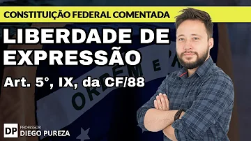O que a Constituição fala sobre a liberdade de pensamento e expressão?