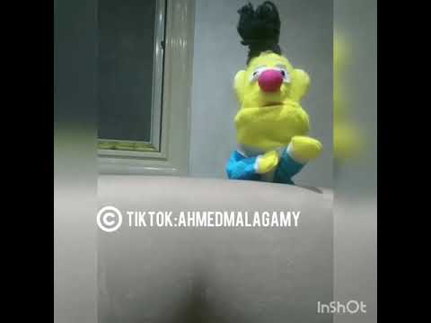 و ركبت 6