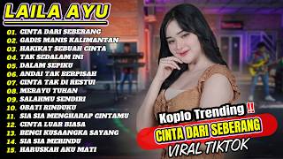 Dangdut Koplo Terbaru 2026 🔥 ,Cinta dari seberang Full Album Viral TikTok !! KOPLO HOLIC