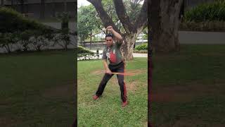 Celebrity Doble Baston Classical Strike Combinations #martialarts Net Worth