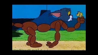 Tom And Jerry - Cartoons For Kids - Purr Chance To Dream