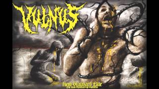 Vulnus - "Concealed In Fractals" (Vessels of Throe 2015 | New Standard Elite)