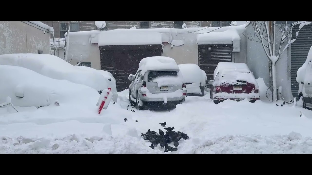 Debiste ir a Florida :