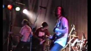 The Family Cat - Concrete