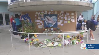 Clearwater Marine Aquarium to hold ‘Celebration of Life’ for Winter the Dolphin