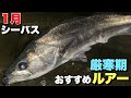 【1月の河川】シーバスにおすすめルアー3個！