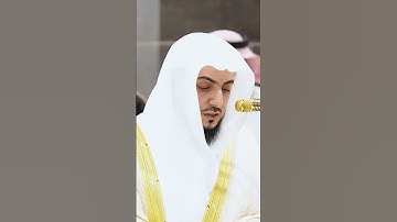 سورة الفيل للشيخ د الوليد الشمسان #الوليد_الشمسان