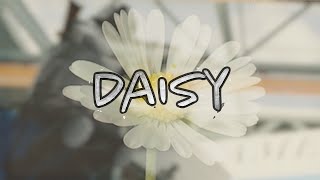 'Daisy' ft. Zant & Pamaj