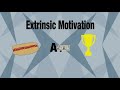 Motivation extrinsque ou intrinsque