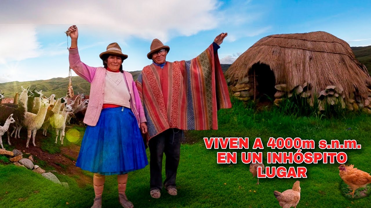 SOLOS a 4000m s n m  en lo más alto de los ANDES  Así Viven Don Grimaldo y Doña Fortunata